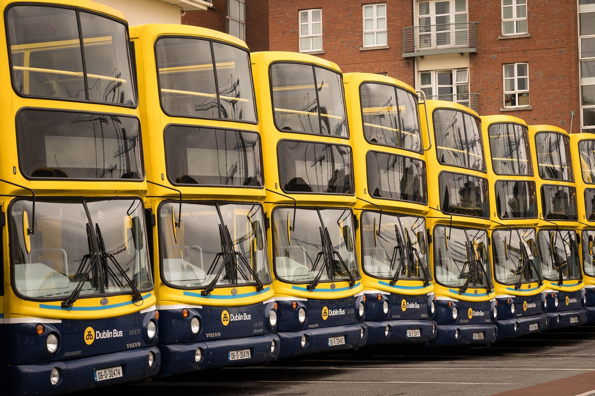 Dublin buses passing along a city street